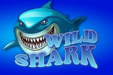 Слот Wildshark Водка Казино